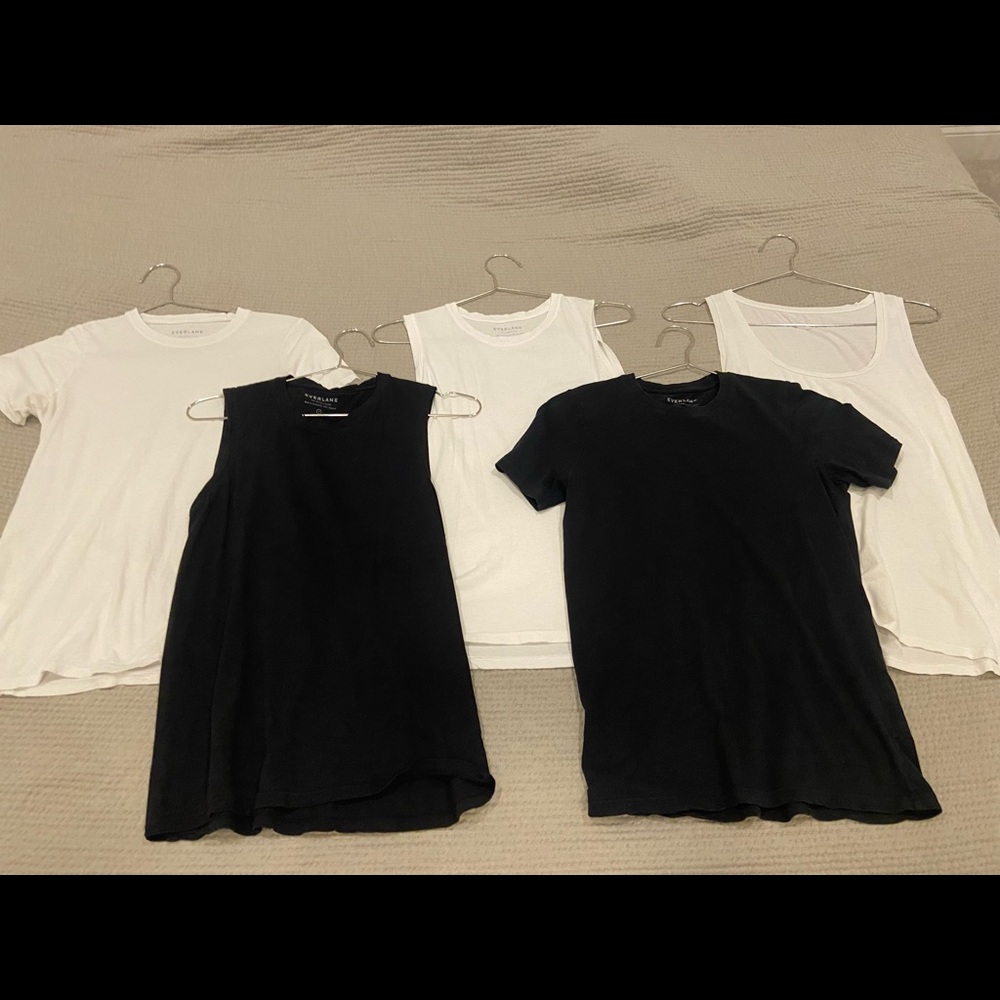 Lot of Everlane supima cotton shirts